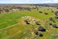 Property photo of 475 Strachans Road Springton SA 5235