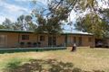 Property photo of 4567 Newell Highway Peak Hill NSW 2869