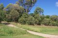 Property photo of 44 Carbeen Drive Taranganba QLD 4703