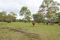 Property photo of 46 Main Road Paxton NSW 2325