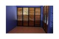 Property photo of 34 Debbie Street Trinity Park QLD 4879