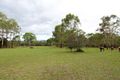 Property photo of 46 Main Road Paxton NSW 2325