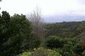 Property photo of 9 The Lee Middle Cove NSW 2068