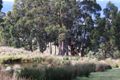 Property photo of 169 Missing Link Road Wattle Grove TAS 7109