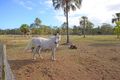Property photo of 46 Straits Outlook Craignish QLD 4655