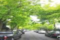 Property photo of 98 Womerah Avenue Darlinghurst NSW 2010