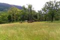 Property photo of 520 Dry Gully Road Mount Whitestone QLD 4347