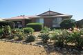 Property photo of 17 Gardiner Street Wellington East SA 5259