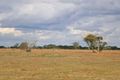 Property photo of 82 Old Coach Road Blanchetown SA 5357