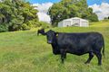 Property photo of 135 Old Palmwoods Road West Woombye QLD 4559