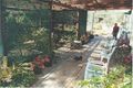 Property photo of 517-525 Greenbank Road North Maclean QLD 4280