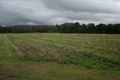 Property photo of 264 Owens Creek Loop Road Gargett QLD 4741