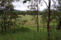 Property photo of 264 Owens Creek Loop Road Gargett QLD 4741