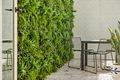 Property photo of 3/41 Broadway Elwood VIC 3184