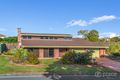 Property photo of 29 Tintara Street Carseldine QLD 4034