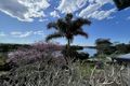 Property photo of 54 Old Pacific Highway Raleigh NSW 2454