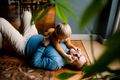 Property photo of 1 Brookhaven Boulevard Bahrs Scrub QLD 4207