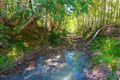 Property photo of 560 Black Camp Road Nooroo NSW 2415