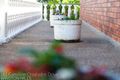 Property photo of 161 Caroline Chisholm Drive Winston Hills NSW 2153