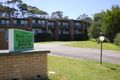 Property photo of 1/1 Ingold Avenue Mollymook NSW 2539