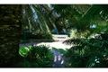 Property photo of 46 Palmerston Street Mosman Park WA 6012