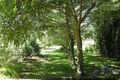 Property photo of 21 Cliff Street Bowral NSW 2576