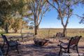 Property photo of 602 Tarana Road Brewongle NSW 2795