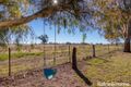 Property photo of 602 Tarana Road Brewongle NSW 2795
