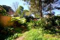 Property photo of 36 Brown Street Newtown NSW 2042