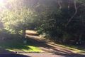 Property photo of 2 Gira Place Ocean Shores NSW 2483