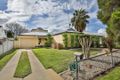 Property photo of 7 Kurrajong Parade Mildura VIC 3500