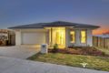 Property photo of 23 Tea Trees Avenue Springfield Lakes QLD 4300