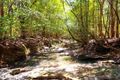 Property photo of 560 Black Camp Road Nooroo NSW 2415