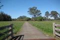 Property photo of 400 Cobbitty Road Cobbitty NSW 2570