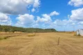 Property photo of 199 Longs Road Bucca QLD 4670