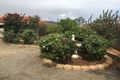 Property photo of 13 Fletcher Court Port Pirie South SA 5540