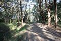 Property photo of 3 Harris Road Beaconsfield Upper VIC 3808