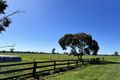 Property photo of 46 Cronulla Road Berrigan NSW 2712