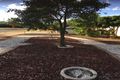Property photo of 1 Justinian Street Elizabeth Downs SA 5113