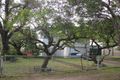 Property photo of 52 Allardyce Street Graceville QLD 4075
