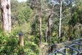 Property photo of 64 Moxhams Road Winston Hills NSW 2153