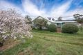 Property photo of 7 Romano Drive Pyalong VIC 3521