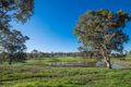 Property photo of 13 Wicklow Road Chisholm NSW 2322