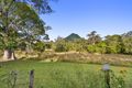 Property photo of 2028 Browns Creek Road Eerwah Vale QLD 4562