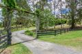 Property photo of 111 Birds Road Guanaba QLD 4210