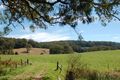 Property photo of 235 Beaumonts Road Deer Vale NSW 2453
