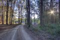 Property photo of 49A Red Road Gembrook VIC 3783