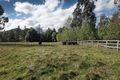Property photo of 468 Mount Macedon Road Mount Macedon VIC 3441