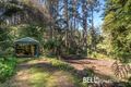 Property photo of 5 Colehurst Crescent Sassafras VIC 3787