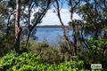 Property photo of 43 Greenbank Grove Culburra Beach NSW 2540
